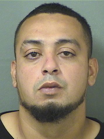  JESSY LEWIS GARCIA Results from Palm Beach County Florida for  JESSY LEWIS GARCIA