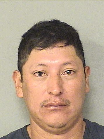 JOSE EMERITO REYES Results from Palm Beach County Florida for JOSE EMERITO REYES JOSE EMERITO REYES Results from Palm Beach County Florida for JOSE EMERITO REYES