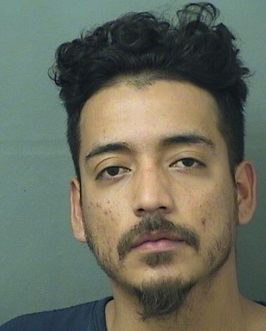  NOE CLARA Results from Palm Beach County Florida for  NOE CLARA