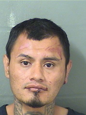  CESAR JAMES Resultados de la busqueda para Palm Beach County Florida para  CESAR JAMES