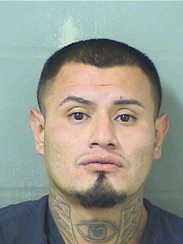  CESAR E JAMES Results from Palm Beach County Florida for  CESAR E JAMES