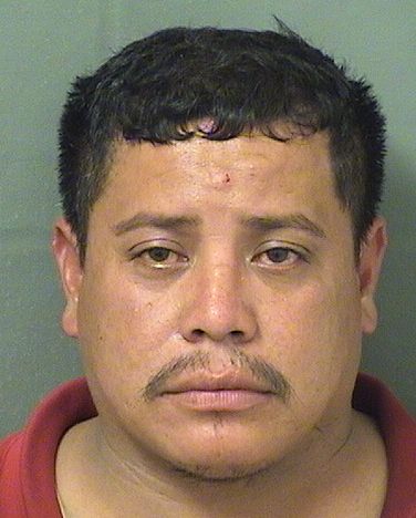  JACOBO MANZANAREZ ALVAREZ Results from Palm Beach County Florida for  JACOBO MANZANAREZ ALVAREZ