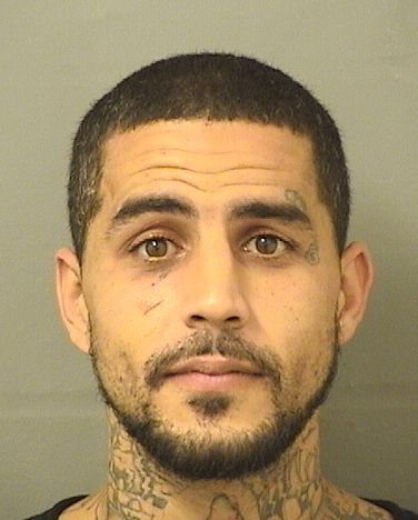 JOSEPH MICHAEL DAMICO Photos For  JOSEPH MICHAEL DAMICO  JOSEPH MICHAEL DAMICO Photo For  JOSEPH MICHAEL DAMICO