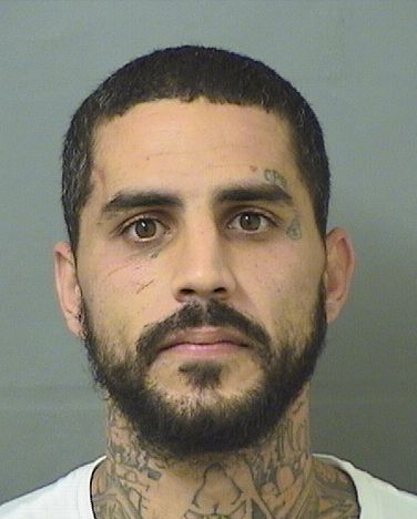  JOSEPH MICHAEL DAMICO Photo For  JOSEPH MICHAEL DAMICO