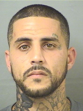  JOSEPH M DAMICOV Results from Palm Beach County Florida for  JOSEPH M DAMICOV