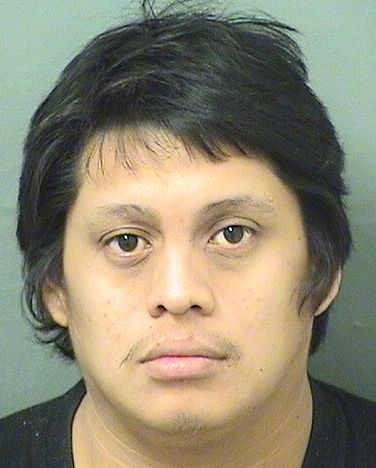  DAVID MIGUEL FELIPE Photo