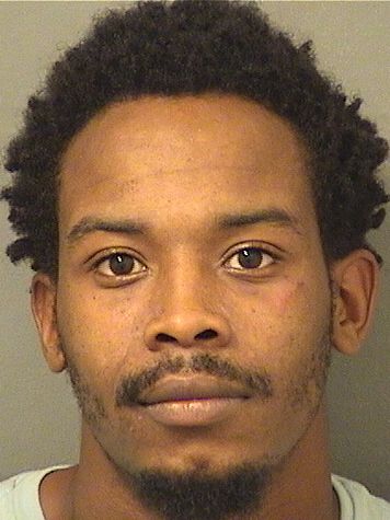  LEE MORRIS III HIGGINS Resultados de la busqueda para Palm Beach County Florida para  LEE MORRIS III HIGGINS