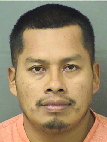 RENEE GOMEZ Photos For  RENEE GOMEZ  RENEE GOMEZ Photo For  RENEE GOMEZ