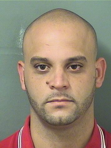  JORGE LUIS ORTEGA Results from Palm Beach County Florida for  JORGE LUIS ORTEGA