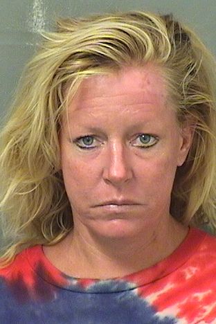  AMY ELIZABETH HAND Results from Palm Beach County Florida for  AMY ELIZABETH HAND