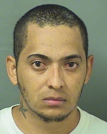  DULAS RUTILLO VALLEMURILLO Results from Palm Beach County Florida for  DULAS RUTILLO VALLEMURILLO