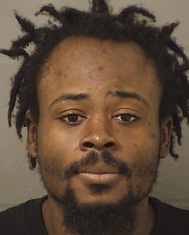  ROBANSON NICOLAS Results from Palm Beach County Florida for  ROBANSON NICOLAS