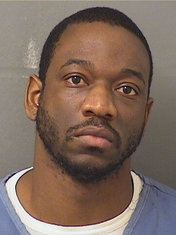  JOSHUA DAVID JAMISON Results from Palm Beach County Florida for  JOSHUA DAVID JAMISON