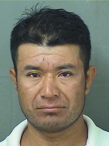  MARCO VINCENTE PEREZ Results from Palm Beach County Florida for  MARCO VINCENTE PEREZ