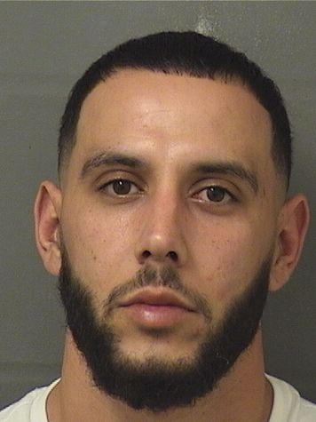  SEBASTIAN ALLEN THIBODEAU Results from Palm Beach County Florida for  SEBASTIAN ALLEN THIBODEAU