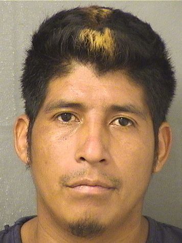  ADANIAS VELASQUEZ Results from Palm Beach County Florida for  ADANIAS VELASQUEZ