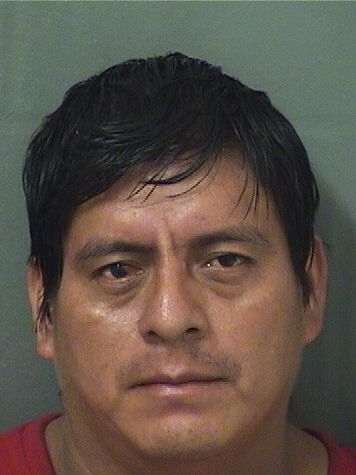 WILMER RAMOS resultados de la busqueda para Palm Beach County Florida para WILMER RAMOS WILMER RAMOS Resultados de la busqueda para Palm Beach County Florida para WILMER RAMOS