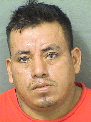  CESAR MENDEZPEREZ Resultados de la busqueda para Palm Beach County Florida para  CESAR MENDEZPEREZ