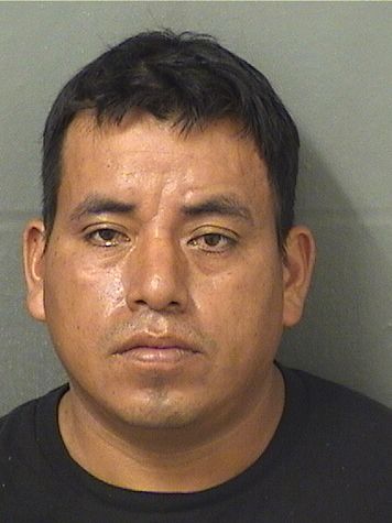  CESAR ENRIQUE MENDEZPEREZ Results from Palm Beach County Florida for  CESAR ENRIQUE MENDEZPEREZ
