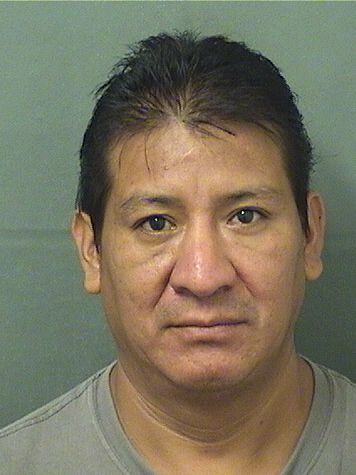  DAVID HONARIO RAMIREZCARRILLO Resultados de la busqueda para Palm Beach County Florida para  DAVID HONARIO RAMIREZCARRILLO
