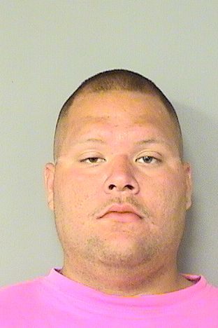  MICHAEL ROGELIO CASTILLO Resultados de la busqueda para Palm Beach County Florida para  MICHAEL ROGELIO CASTILLO