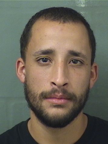  CHRISTOPHER GONZALEZ Results from Palm Beach County Florida for  CHRISTOPHER GONZALEZ