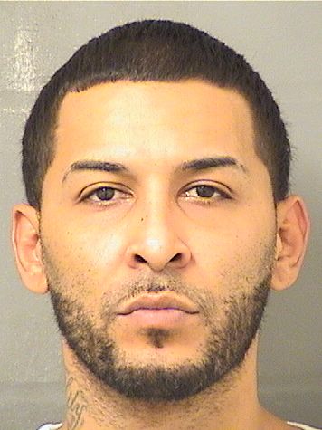  DANIEL ALEXANDER DELVALLE Results from Palm Beach County Florida for  DANIEL ALEXANDER DELVALLE