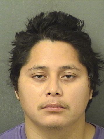  MARIO MATEO JOSE Resultados de la busqueda para Palm Beach County Florida para  MARIO MATEO JOSE