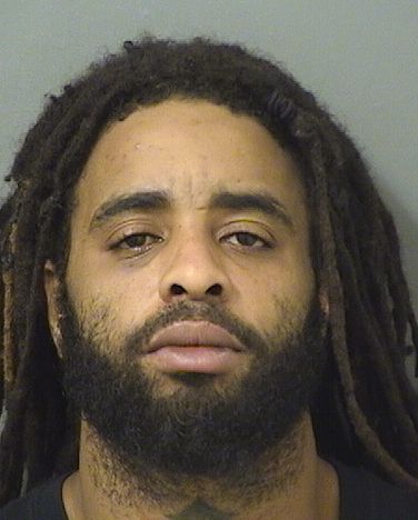 MICHAEL BERNARD WILLIAMS Results from Palm Beach County Florida for  MICHAEL BERNARD WILLIAMS