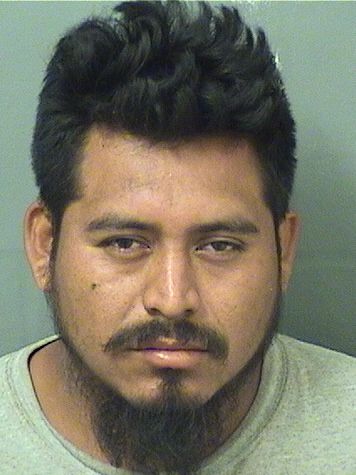  WILBUR ORTEGA Results from Palm Beach County Florida for  WILBUR ORTEGA