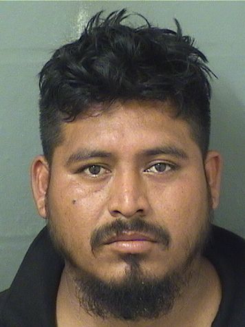  WILBUR ORTEGA Resultados de la busqueda para Palm Beach County Florida para  WILBUR ORTEGA