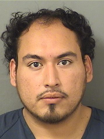  MICHAEL A MONSIVAIZ Results from Palm Beach County Florida for  MICHAEL A MONSIVAIZ