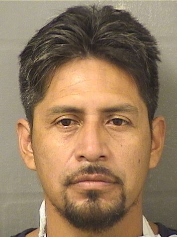  BOBBY CASTILLO Results from Palm Beach County Florida for  BOBBY CASTILLO