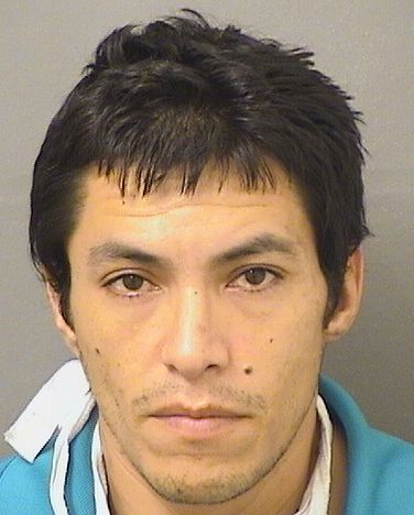  IVAN JAHZEEL CAMACHO Resultados de la busqueda para Palm Beach County Florida para  IVAN JAHZEEL CAMACHO