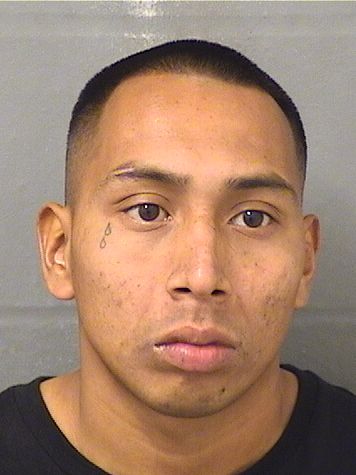  PETER BENJAMIN PEDROMENDEZ Results from Palm Beach County Florida for  PETER BENJAMIN PEDROMENDEZ