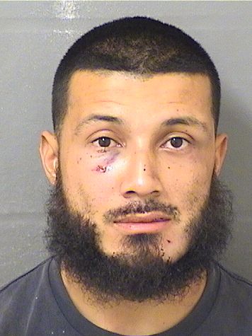  DANIEL RODRIGUEZ Results from Palm Beach County Florida for  DANIEL RODRIGUEZ