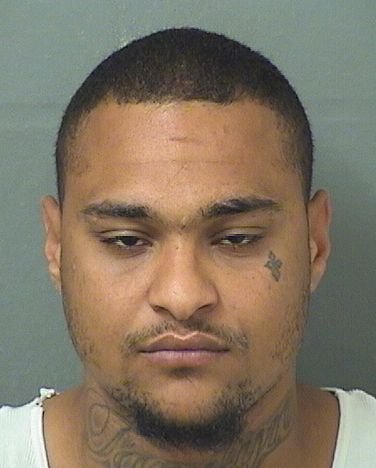  DONNIE LEE Jr GASKINS Results from Palm Beach County Florida for  DONNIE LEE Jr GASKINS