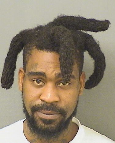  ANTYWONE ANDREW MITCHELL Results from Palm Beach County Florida for  ANTYWONE ANDREW MITCHELL