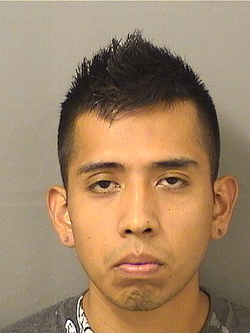 ALEX MEJIA Photos For  ALEX MEJIA  ALEX MEJIA Photo For  ALEX MEJIA