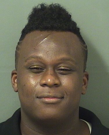  WALTER DARNEL JOHNSON Resultados de la busqueda para Palm Beach County Florida para  WALTER DARNEL JOHNSON