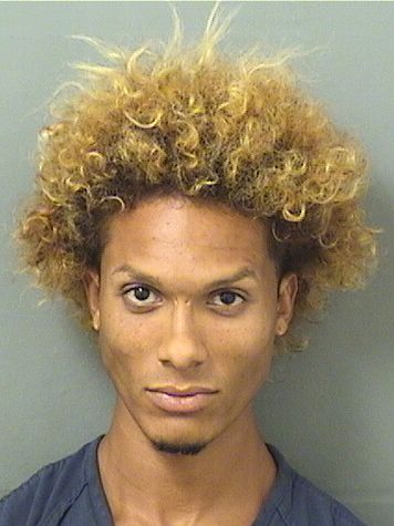  GEOVANNI CUSATI Results from Palm Beach County Florida for  GEOVANNI CUSATI