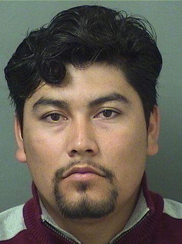  OTILLO GOMEZGACHUZ Results from Palm Beach County Florida for  OTILLO GOMEZGACHUZ