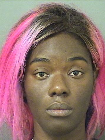  DOMINIQUE ROCKEL LARKINS Results from Palm Beach County Florida for  DOMINIQUE ROCKEL LARKINS