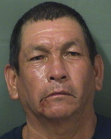  TORIBIO GALLEGOS Results from Palm Beach County Florida for  TORIBIO GALLEGOS