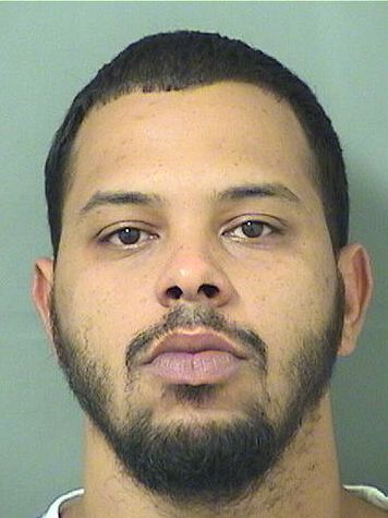  NICHOLAS MAURICE WILLIAMS Results from Palm Beach County Florida for  NICHOLAS MAURICE WILLIAMS