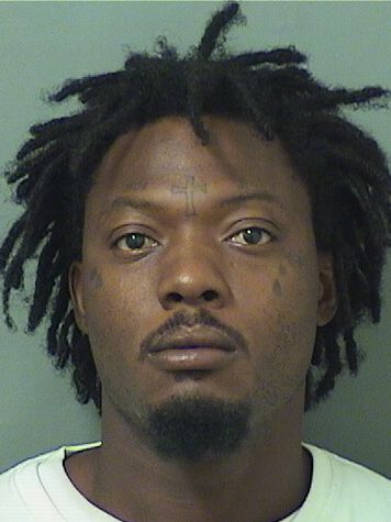  TYRIE L PATTERSON Results from Palm Beach County Florida for  TYRIE L PATTERSON