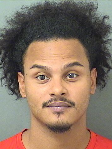  LUIS ARIEL ALICEAVELAZQUEZ Resultados de la busqueda para Palm Beach County Florida para  LUIS ARIEL ALICEAVELAZQUEZ