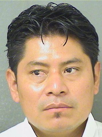  WILLIAM GIOVANNI HERNANDEZ Photo For  WILLIAM GIOVANNI HERNANDEZ