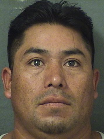  RONALDO CHAJ Resultados de la busqueda para Palm Beach County Florida para  RONALDO CHAJ