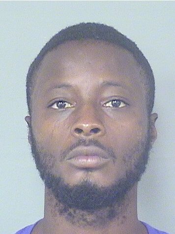  MICHAEL ANTWON DAVIS Results from Palm Beach County Florida for  MICHAEL ANTWON DAVIS
